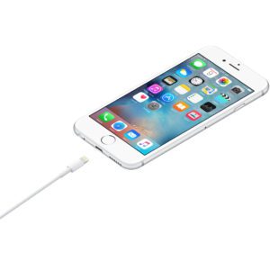 Apple lightning to USB (1m)