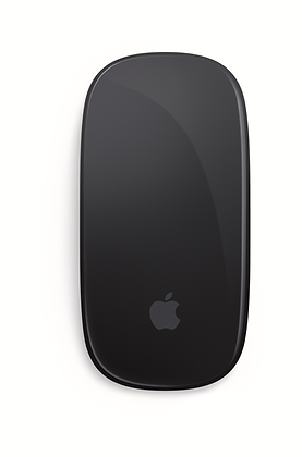 Magic Mouse - Multi-Touch Surface